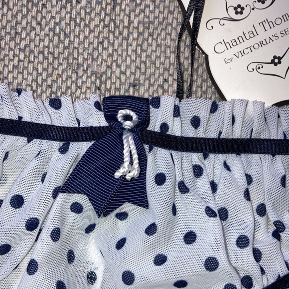 Chantal Thomass Victoria's Secret White Mesh Blue Polka Dot Bikini S Panties new - Picture 4 of 13